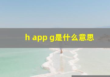 h app g是什么意思